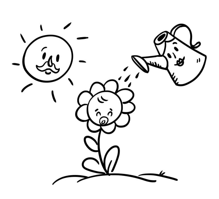 Sensitive Seedlings – Children Transitioning Between Separated Parents